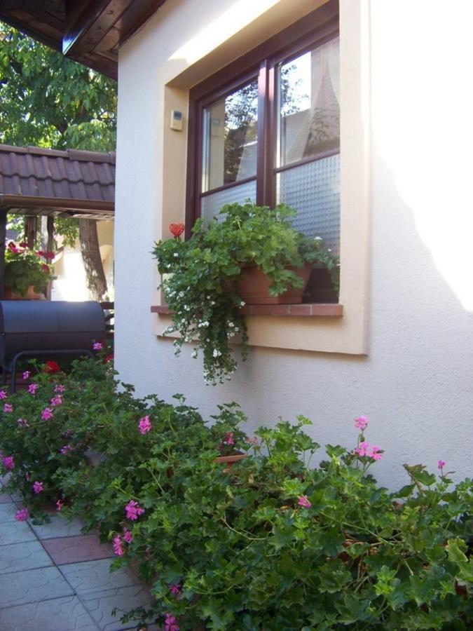 Pensiunea Casa Alba Ghimbav エクステリア 写真